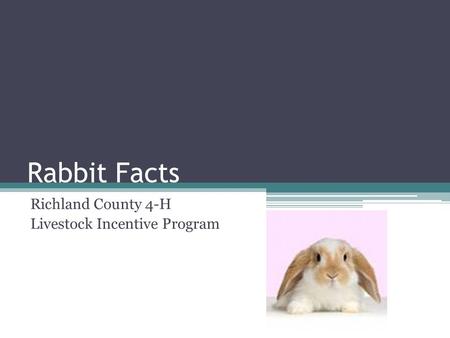 Rabbit Facts Richland County 4-H Livestock Incentive Program.