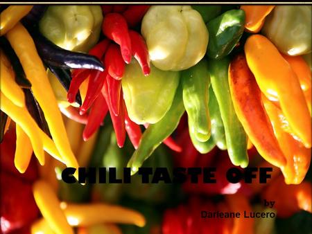 CHILI TASTE OFF by Darleane Lucero. The Taste Test.