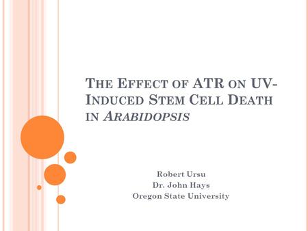 T HE E FFECT OF ATR ON UV- I NDUCED S TEM C ELL D EATH IN A RABIDOPSIS Robert Ursu Dr. John Hays Oregon State University.