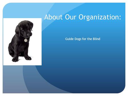 About Our Organization: Guide Dogs for the Blind.