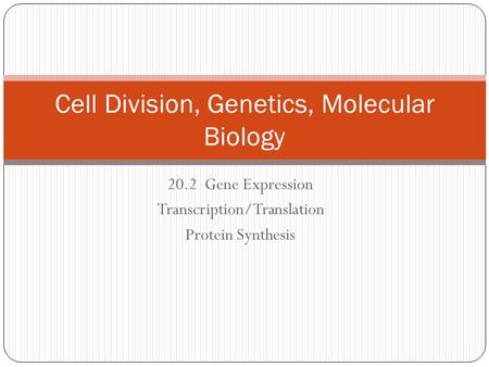 Cell Division, Genetics, Molecular Biology