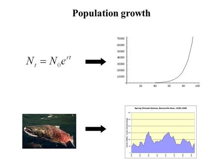 Population growth. The simplest model of population growth What are the assumptions of this model?