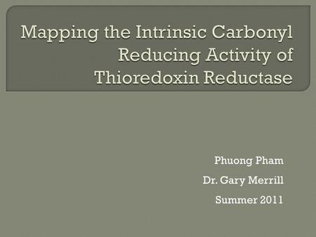 Phuong Pham Dr. Gary Merrill Summer 2011.  Explore the functions of thioredoxin reductase  Only known enzyme to reduce thioredoxin  Recent research.