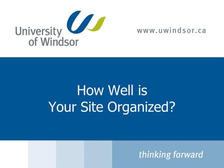 How Well is Your Site Organized?. Agenda  Information Architecture / Navigation  What Does the User Want?  How to Organize Information  Best Practices.