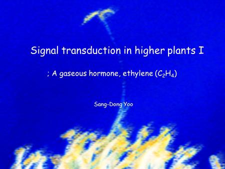 Signal transduction in higher plants I