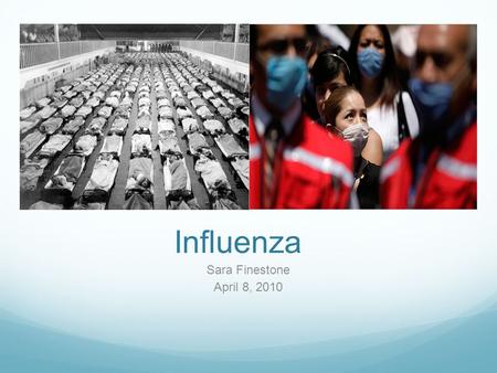 Influenza Sara Finestone April 8, 2010. The influenza virus causes 3-5 million cases of severe illness and up to 500,000 deaths annually.