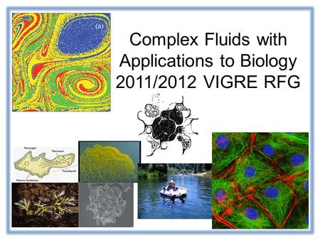 Complex Fluids with Applications to Biology 2011/2012 VIGRE RFG
