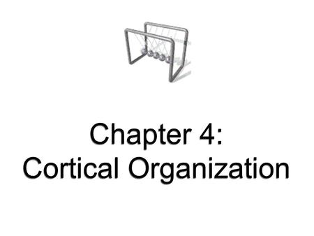 Chapter 4: Cortical Organization