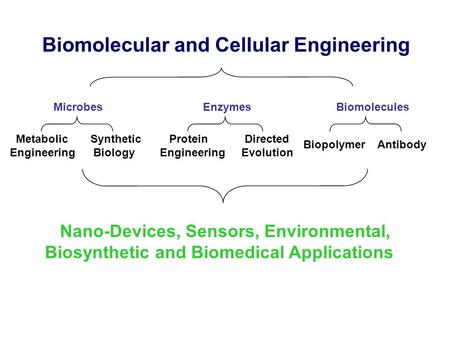 Biomolecular and Cellular Engineering Microbes Enzymes Biomolecules Metabolic Engineering Biopolymer Antibody Nano-Devices, Sensors, Environmental, Biosynthetic.