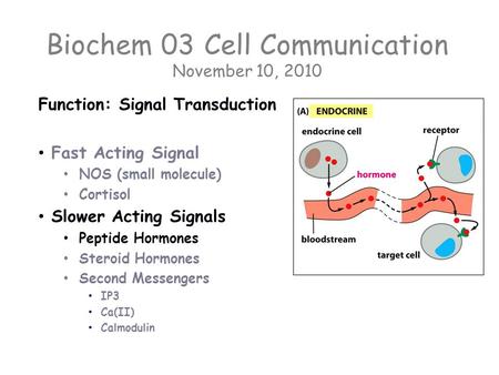 Biochem 03 Cell Communication November 10, 2010