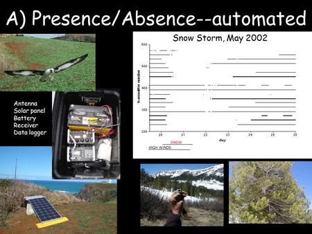 A) Presence/Absence--automated SNOW HIGH WINDS Snow Storm, May 2002 Antenna Solar panel Battery Receiver Data logger.