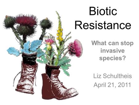 Biotic Resistance What can stop invasive species? Liz Schultheis April 21, 2011.