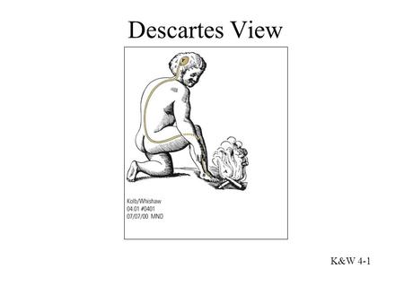 K&W 4-1 Descartes View Luigi Galvani (1737-1798)