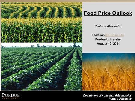 Department of Agricultural Economics Purdue University Food Price Outlook Corinne Alexander Purdue University August 19,