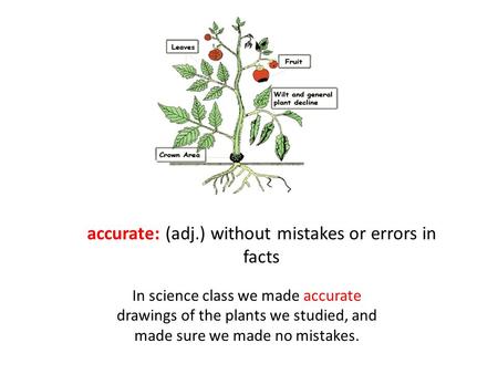 Accurate: (adj.) without mistakes or errors in facts In science class we made accurate drawings of the plants we studied, and made sure we made no mistakes.