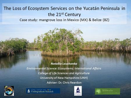 The Loss of Ecosystem Services on the Yucatán Peninsula in the 21 st Century Case study: mangrove loss in Mexico (MX) & Belize (BZ) Natallia Leuchanka.