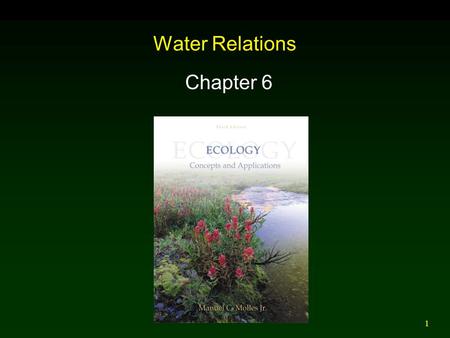 1 Water Relations Chapter 6. 2 Outline (I) Water Movement in Terrestrial Environments (II) Water Movement in Aquatic Environments (III) Water Regulation.