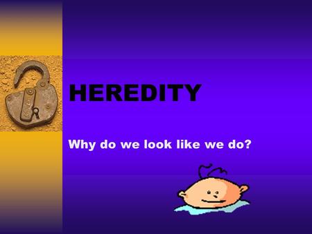 HEREDITY Why do we look like we do?. Learning Targets  Describe how evolution lead to the diversity of species on earth today.  Explain the function.