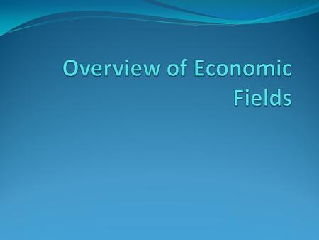 Primary Fields Environmental Economics Industrial Organization International Economics.