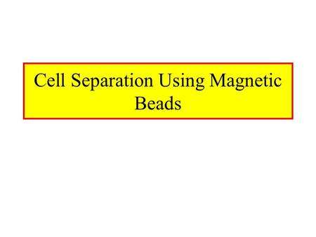 Cell Separation Using Magnetic Beads