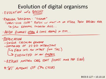 BIOS E-127 – 10.10.18 Evolution of digital organisms.