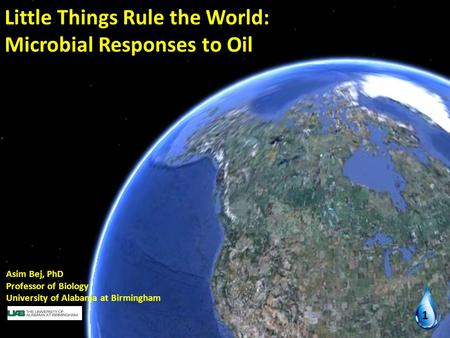 Little Things Rule the World: Microbial Responses to Oil