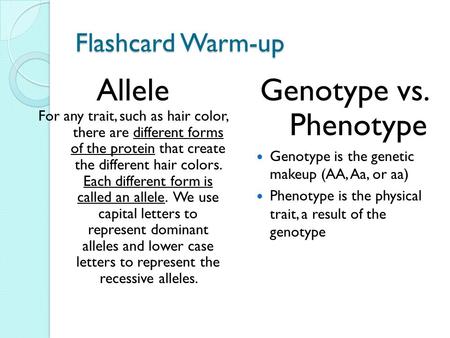 Allele Genotype vs. Phenotype Flashcard Warm-up