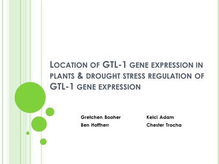 L OCATION OF GTL-1 GENE EXPRESSION IN PLANTS & DROUGHT STRESS REGULATION OF GTL-1 GENE EXPRESSION Gretchen BooherKelci Adam Ben Hoffherr Chester Trocha.