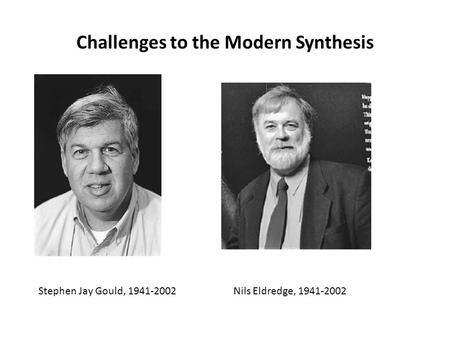 Challenges to the Modern Synthesis Stephen Jay Gould, 1941-2002Nils Eldredge, 1941-2002.