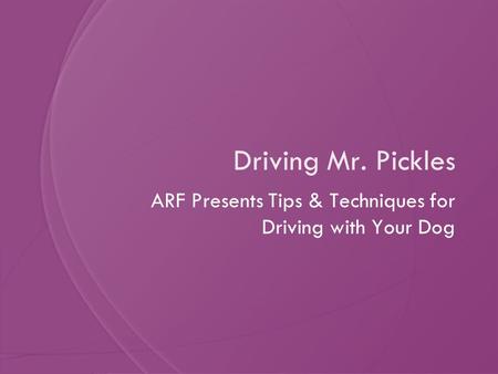 Driving Mr. Pickles ARF Presents Tips & Techniques for Driving with Your Dog.