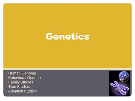Genetics Human Genome Behavioral Genetics Family Studies Twin Studies