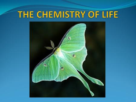 Biochemistry is the study of organic chemistry, mainly the compounds known as carbohydrates, lipids, proteins, and nucleic acids. All living things are.