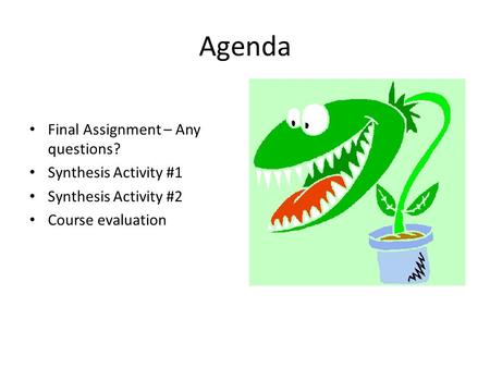 Agenda Final Assignment – Any questions? Synthesis Activity #1 Synthesis Activity #2 Course evaluation.