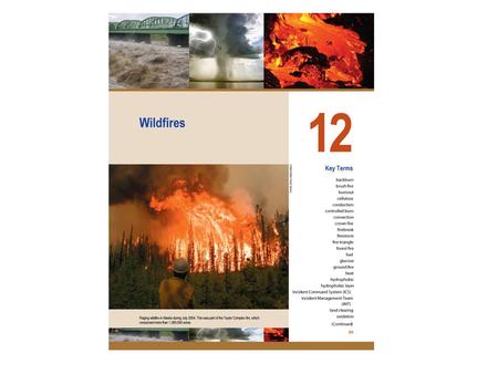 Phases of wildfires Preignition (energy absorbing)