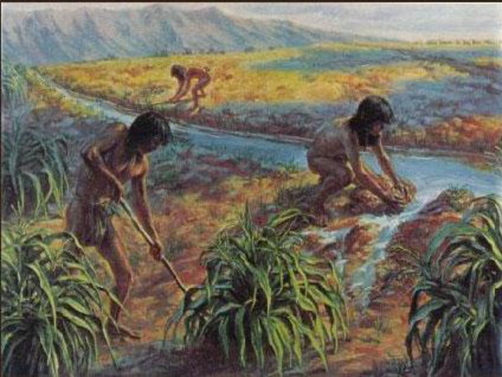 Чем занимались люди в те времена. Собирательство индейцев Северной Америки. Земледелие индейцев Южной Америки. Первобытные земледельцы. Древние люди.