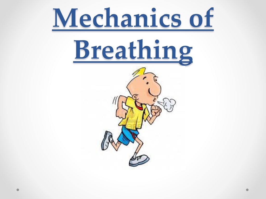 Mechanics of Breathing - ppt download Mechanics of Breathing - ppt download