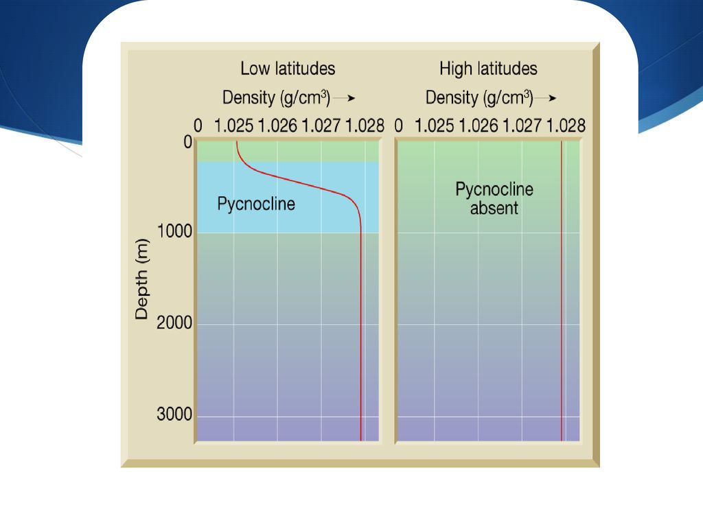 Pycnocline Zone