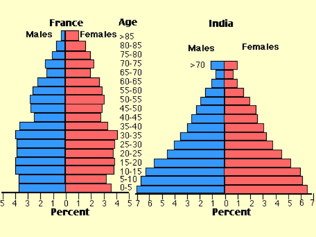 Половой состав франции. Возрастно половой состав Франции. Половозрастная пирамида Франции. Возрастно половая пирамида Франции. Половозрастная пирамида Индии 2020.