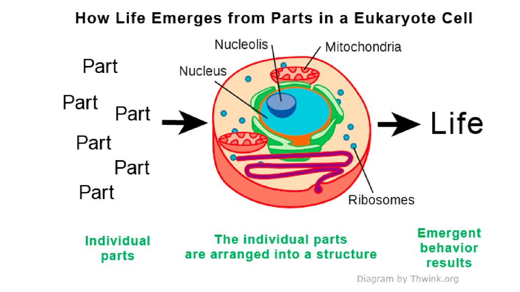 Their cell. Клетка Cell. Parts of Life. Emergent meaning. The New Cell Theory.