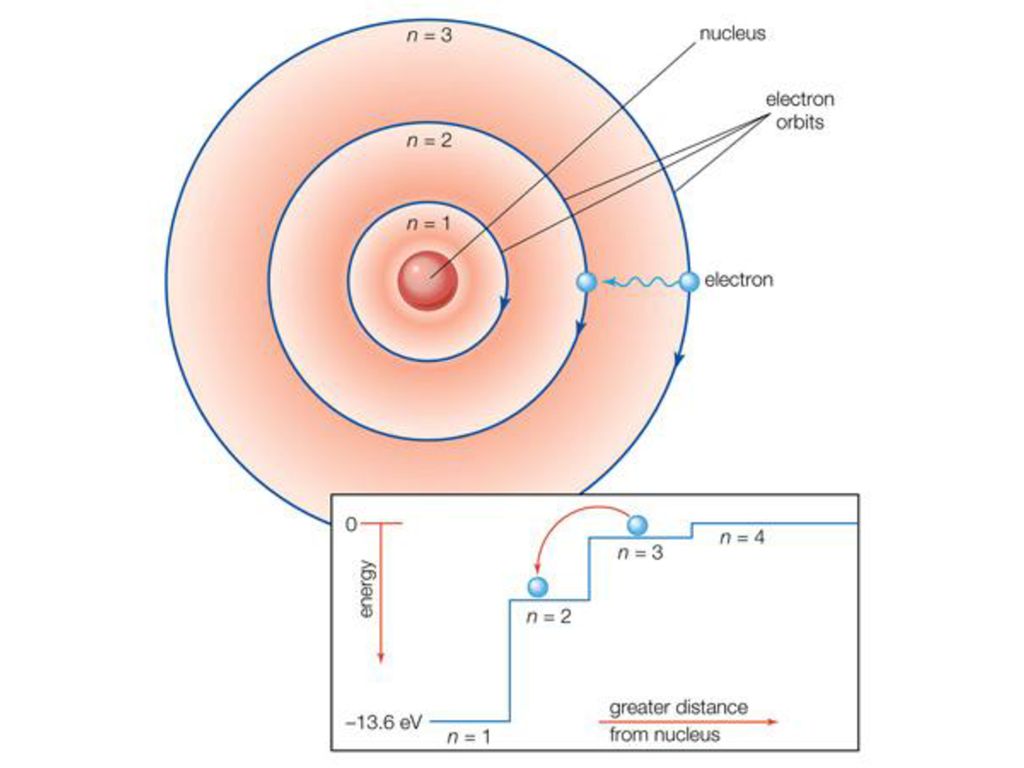 Bohr Models Science, Chemistry, Elements, Atoms, Periodic Table ShowMe