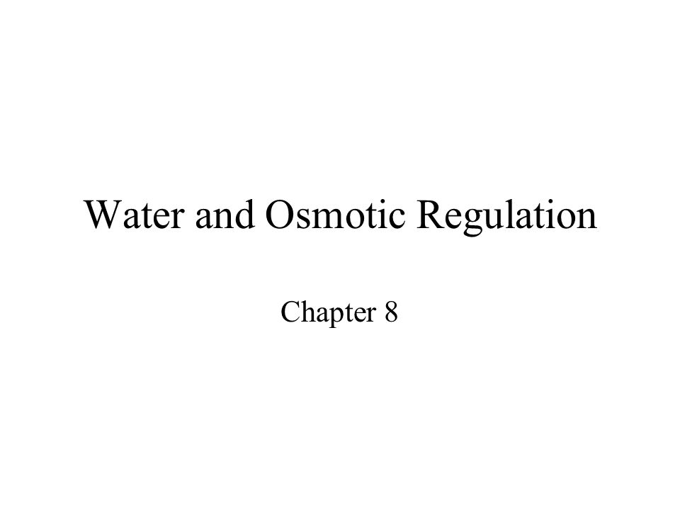 Water and Osmotic Regulation - ppt video online download