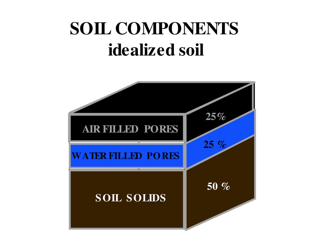 Soil Science. - ppt download