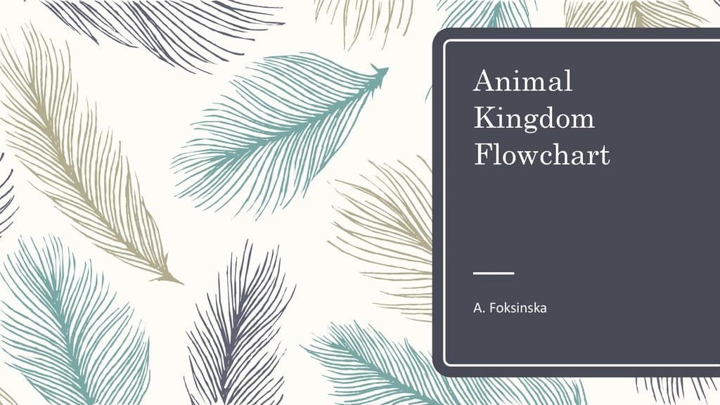 Animal Kingdom Flowchart - ppt download