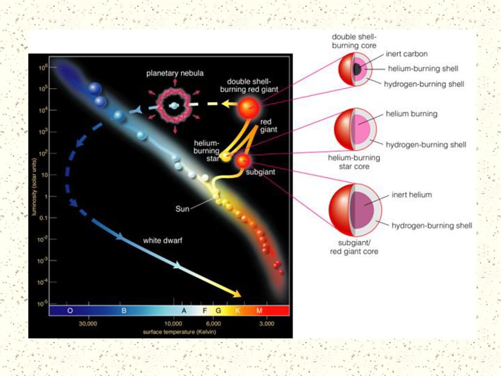 Lecture 23: Stellar Life-Cycles. - ppt download