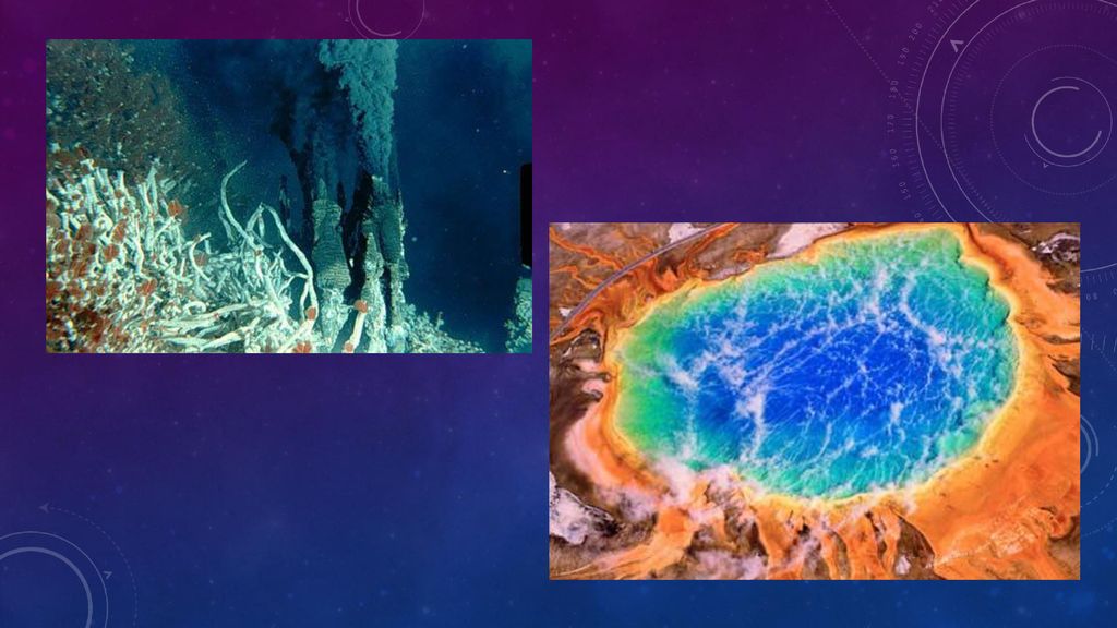 Food Chains And Food Webs Are Examples Of Energy Transformations True Or False Food Chains And Food Webs Are Examples Of Energy Transformations True Or False