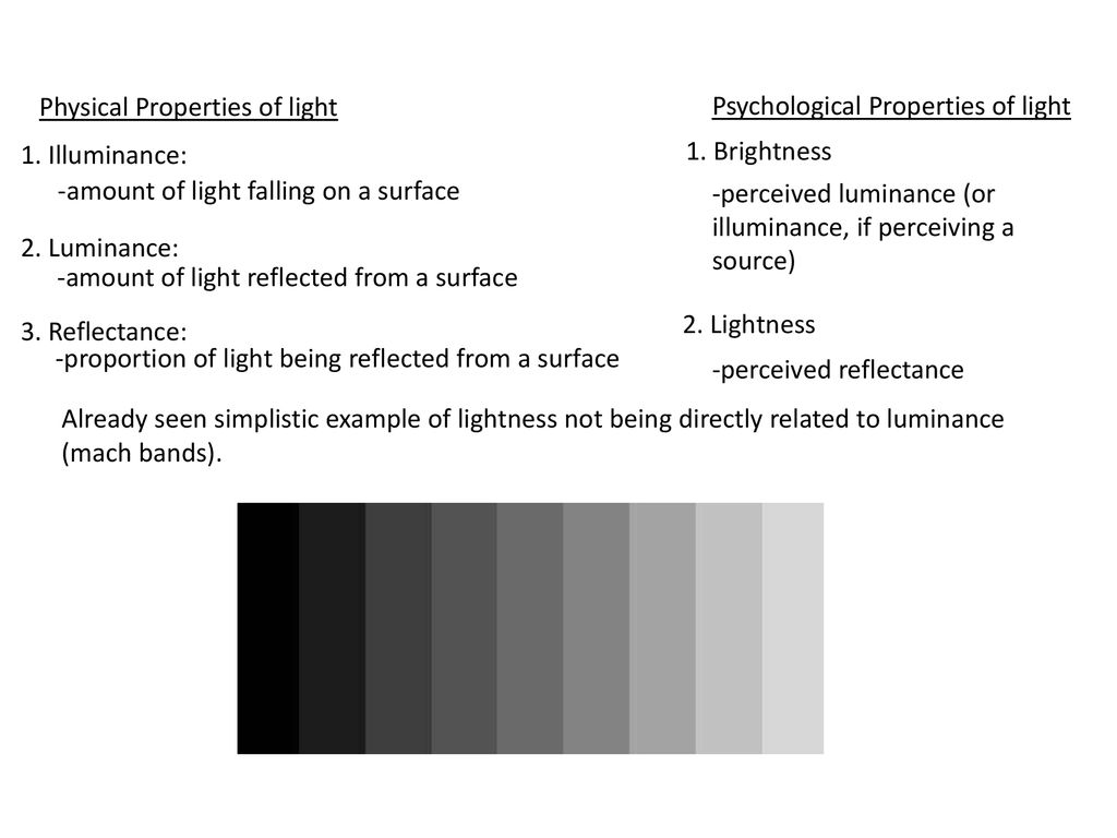 Physical Properties of light - ppt download