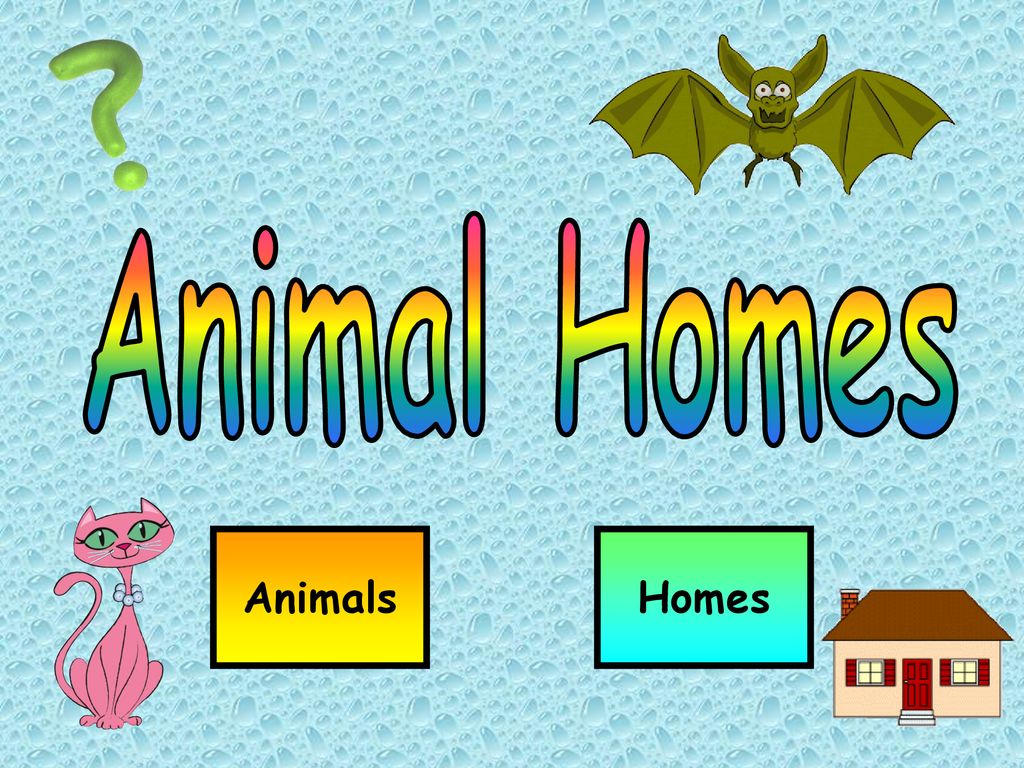 Animal Homes Animals Homes. - ppt download
