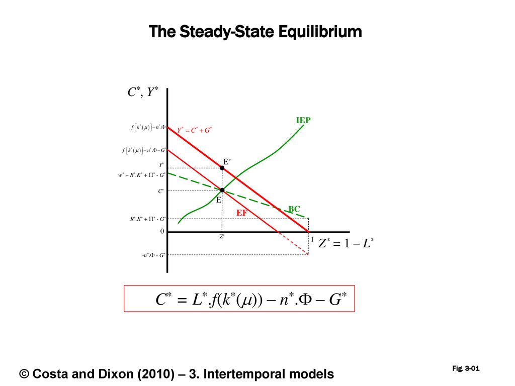 The Steady State Equilibrium Ppt Download The Steady State Equilibrium Ppt Download