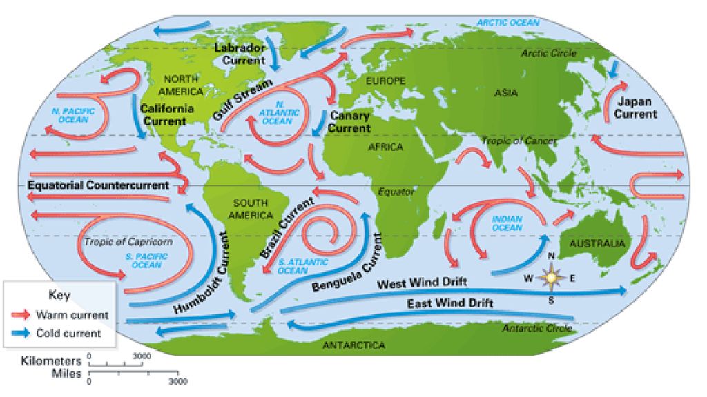 Холодные течения евразии. Тёплые и холодные течения на карте. Карта морских течений. Карта течений с названиями. Названия теплых и холодных течений.