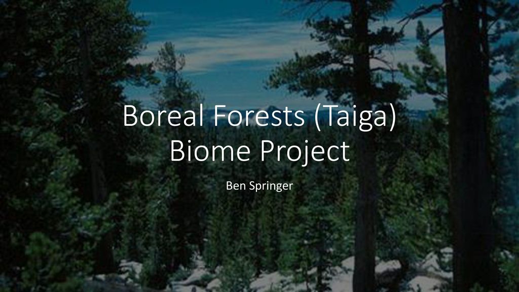 The Biome Taiga. - ppt download